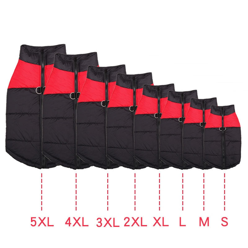 The Ultimate Winter Dog Jacket