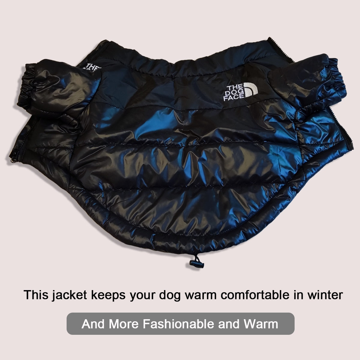 My Glam Girrrl™ Winter Designer Dog Jacket,