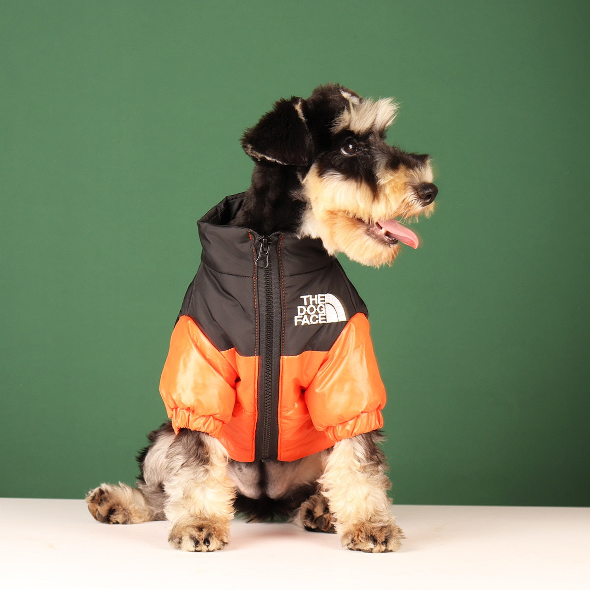 My Glam Girrrl™ Winter Designer Dog Jacket,