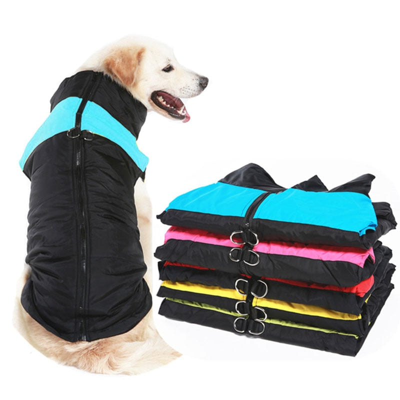 The Ultimate Winter Dog Jacket