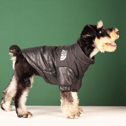 My Glam Girrrl™ Winter Designer Dog Jacket,