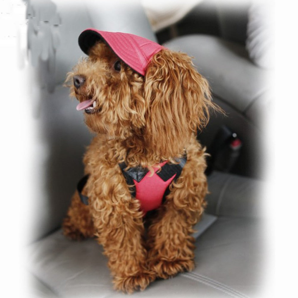 My Glam Girrrl™ Fashion Baseball Cap for Dogs